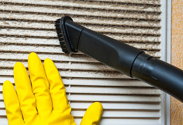 Best Home Air Vent Cleaning  in Battle Creek, MI